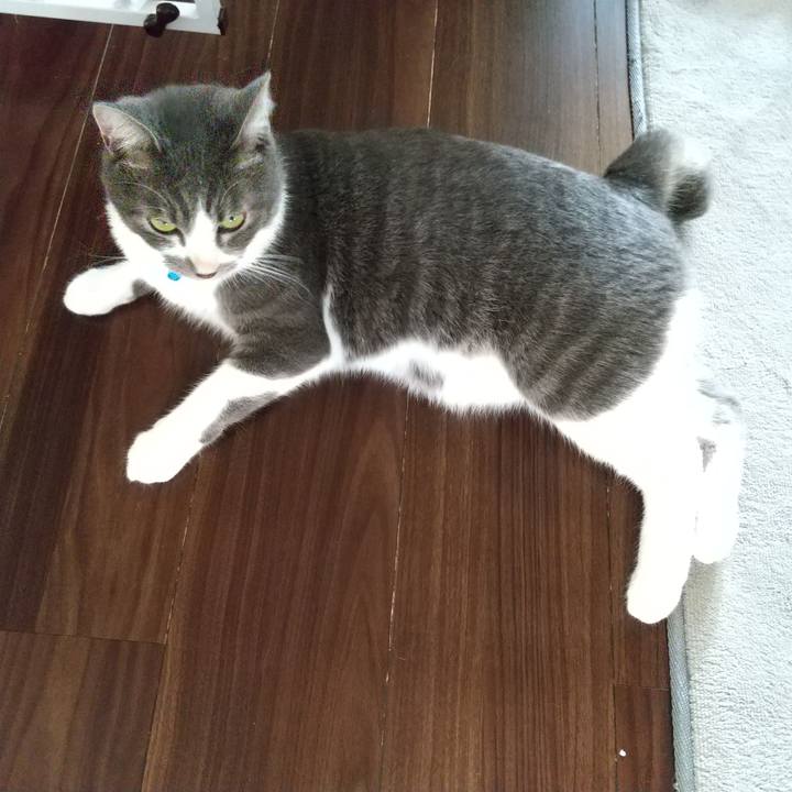 3605ee55 e340 4c92 a4a1 cf65e0f9f883 1602630927140