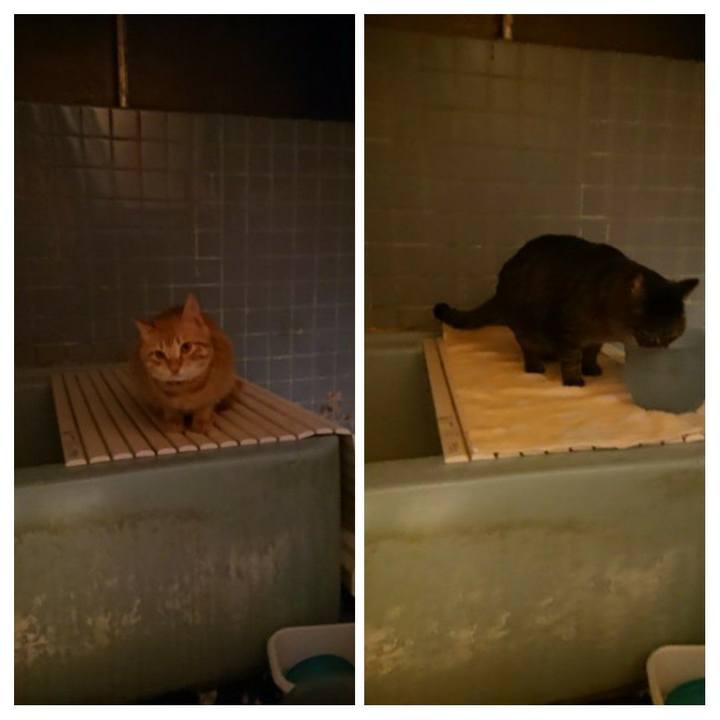 3605f047 26cb 4489 b977 784fa5ab17fe 1644574261988