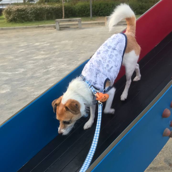 36060f28 4f13 4c44 92cd 8ca2165eeaad 1535672060337