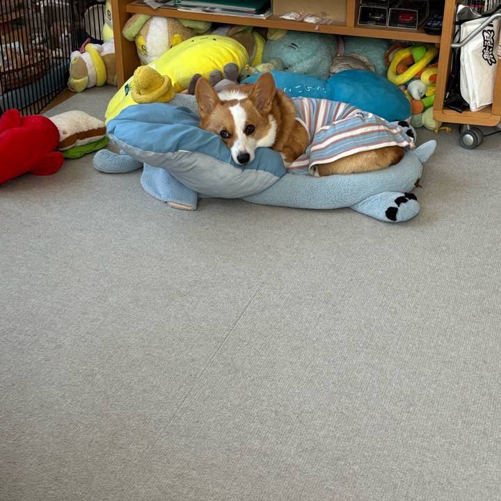 36060feb 0eac 4e58 8737 d6f6717cc3a4 1757287032650