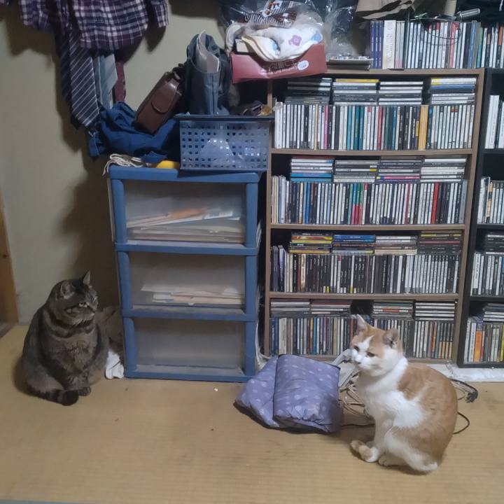 3606146d cb2a 4988 8e2c 291dc4597de1 1741166399544