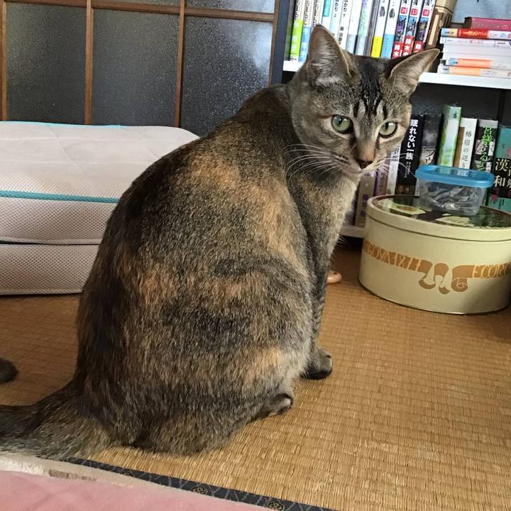 36062272 2388 4f57 936b f3b3939516ae 1583205637832