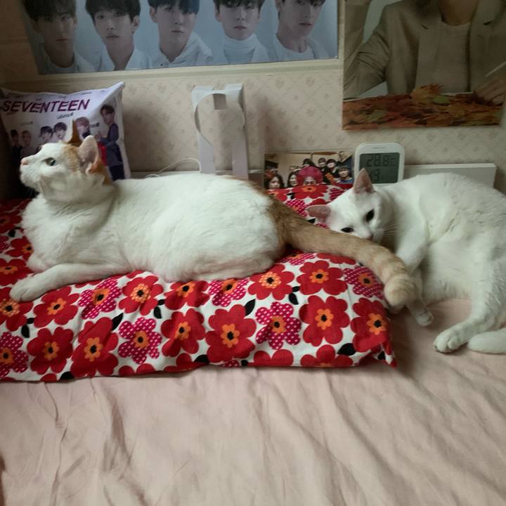 36062b35 4e6d 47ac b07d b4cbca2a0d93 1591733487937