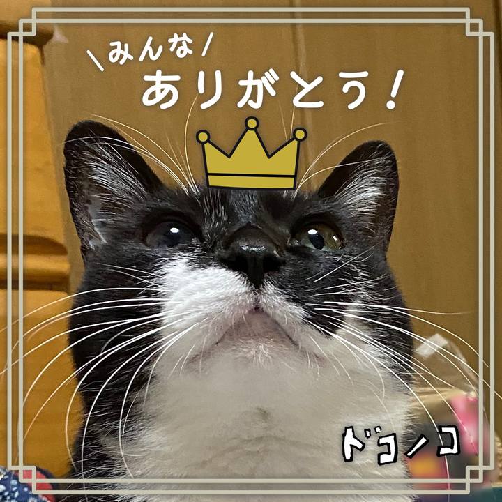 36067578 23d0 403b bfde f9809ce8f1c2 1623065825137