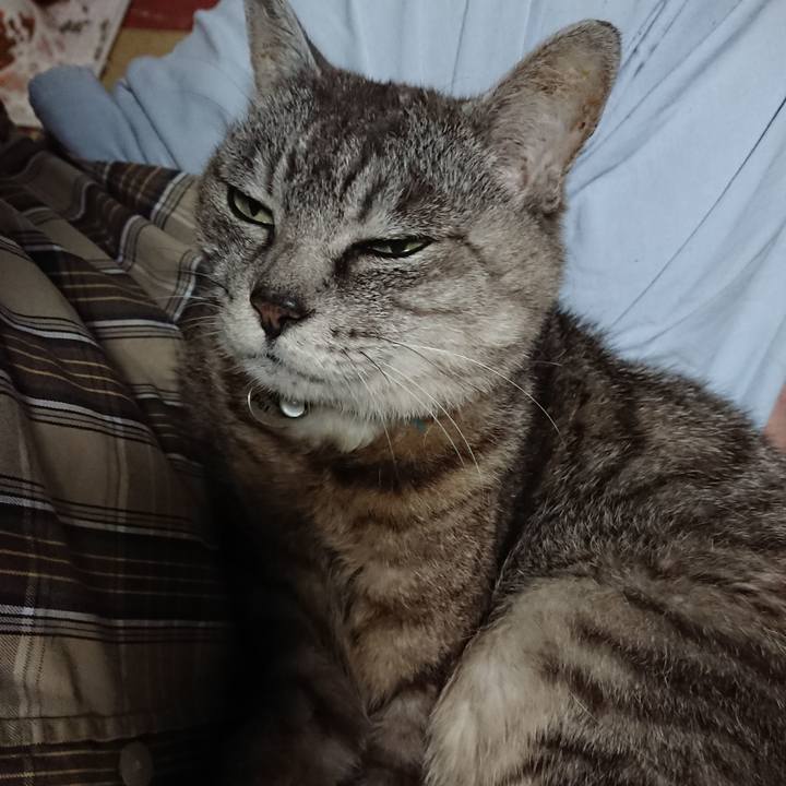 3606c634 a82f 4600 874a a68bafa1c91d 1566767709270