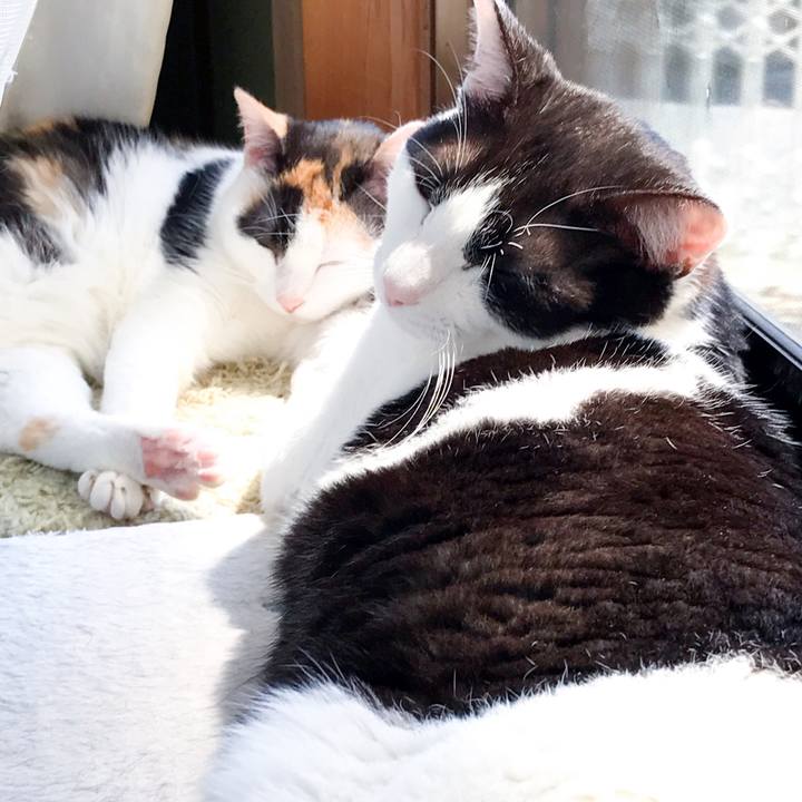 3606ce1f 0c5f 431e 8a35 01d4ef1aeb7e 1525356434074