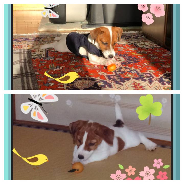 3606e219 5409 4a62 a9c9 439505d8b3f0 1515282582146