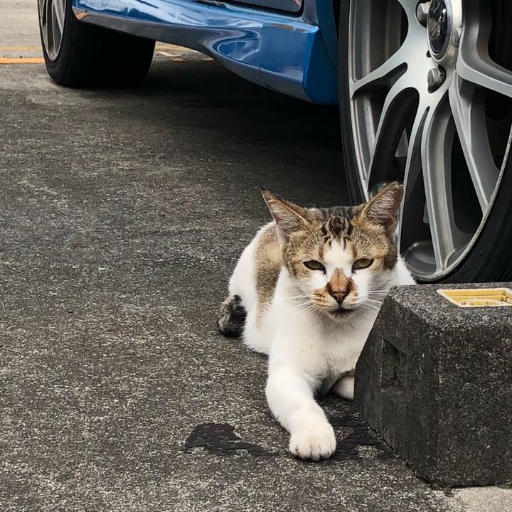 36073b7f 8a5c 4d2a b78d a053067538b4 1536309077888