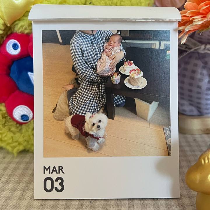 3607462b 906c 4a7e b5e9 231679af2efd 1772578884473