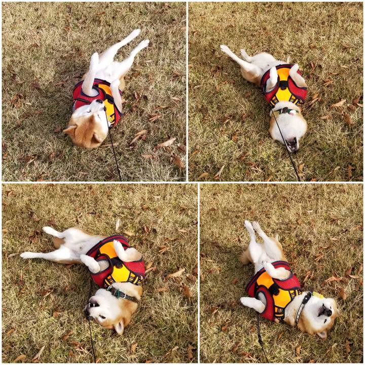 36074b6a 1932 4c3d bdbc 4fcebb93bdce 1606799613678