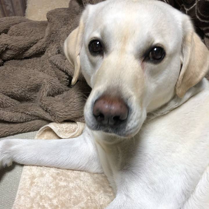 36074f54 6240 4cfc 82fc 170d98ce2d70 1589985838565