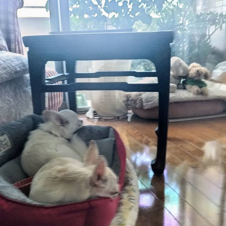 36076118 65cc 4253 acf0 de513646a4c7 1754606511072