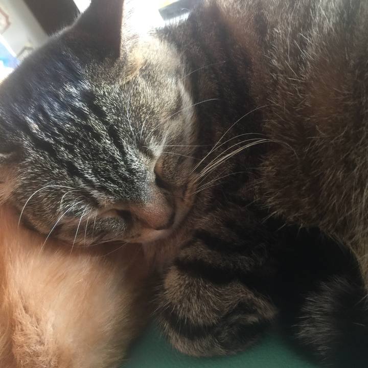 360773af 6efa 491d a186 8baae03c64a3 1572068422111