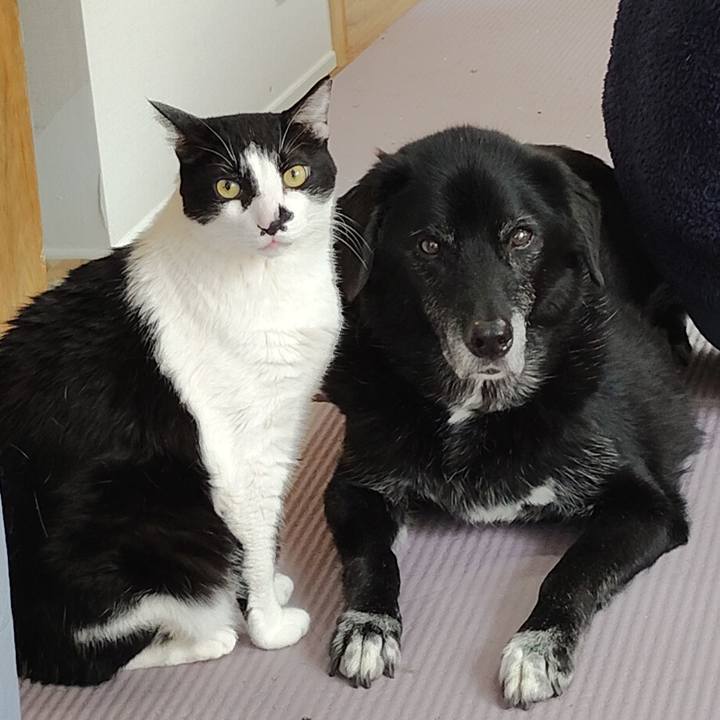 3607b479 75fd 4b68 97fb a1ccea0576a9 1770295487190