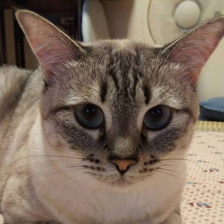 36081d91 ba25 420f abe1 f1da3e18bb2d 1534923541640