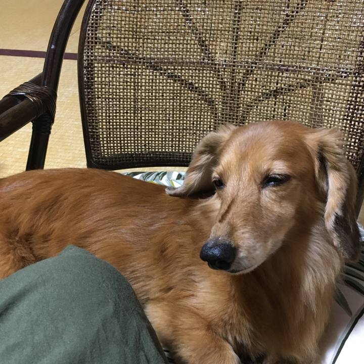 360855f7 a205 4db8 ae91 7518cad1dbe8 1601548975189