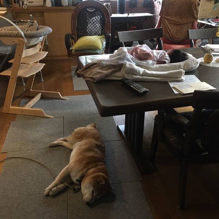 360871b8 653a 413c 807e b20c4e27b9a2 1593343291490