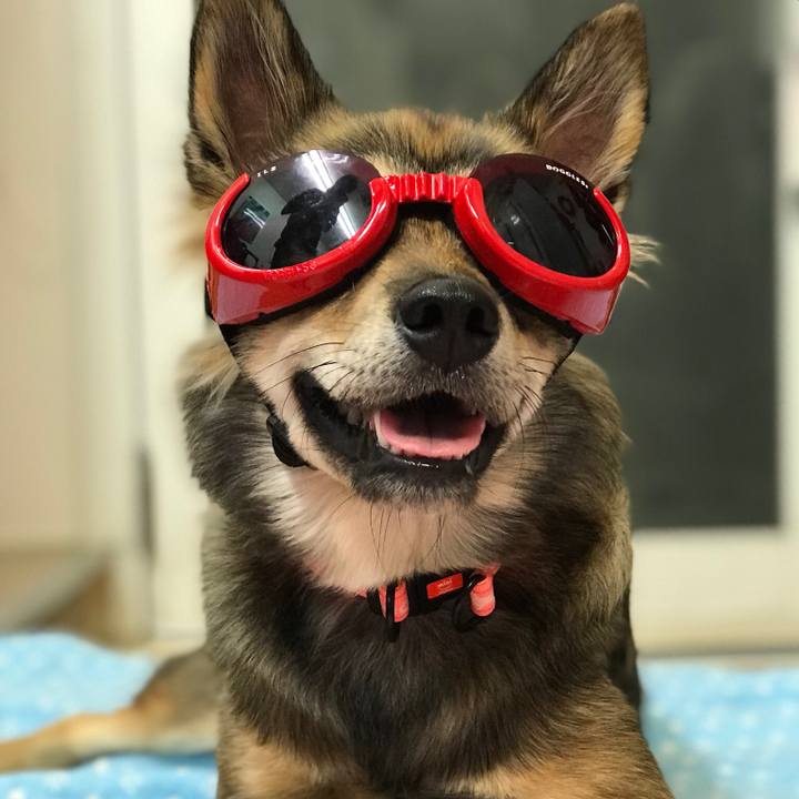 36089847 137a 4f20 adf0 4b4478da3df1 1531713574223