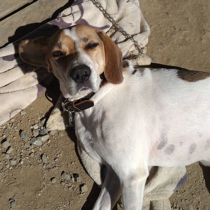 3608d0fb ec0d 4722 ade5 2ed9d150f60b 1643468531891