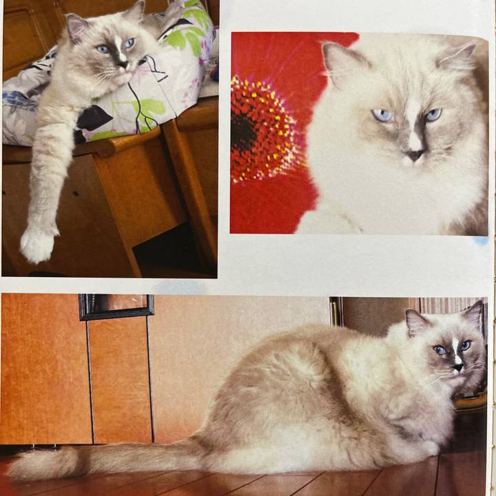 3608f33f 4cc0 4ae2 b246 0af566ed2fcd 1730113820457