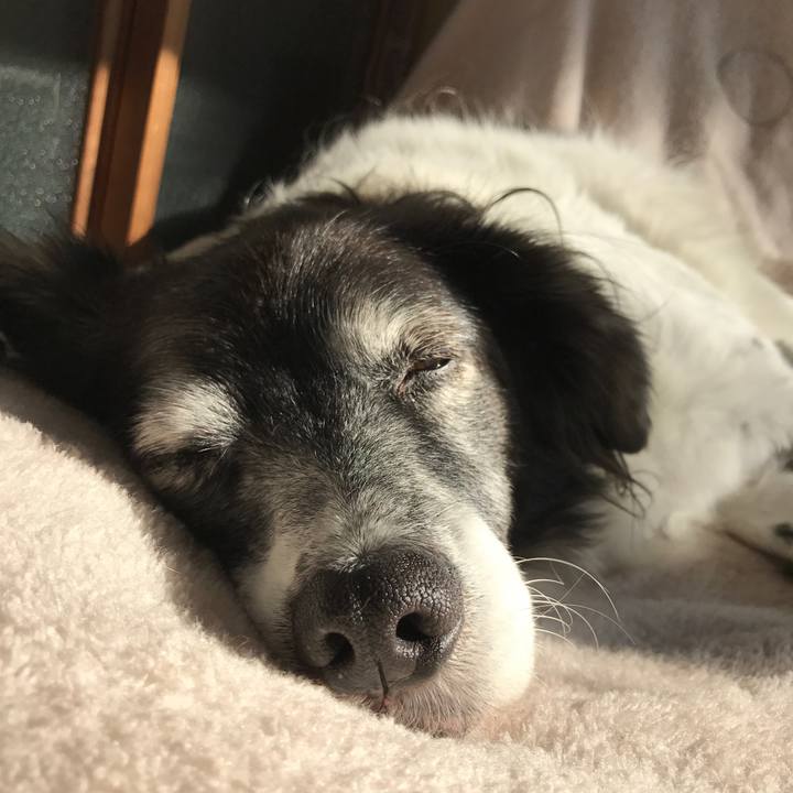 36090026 37d3 4d00 8703 35ee46bfd734 1541681716154