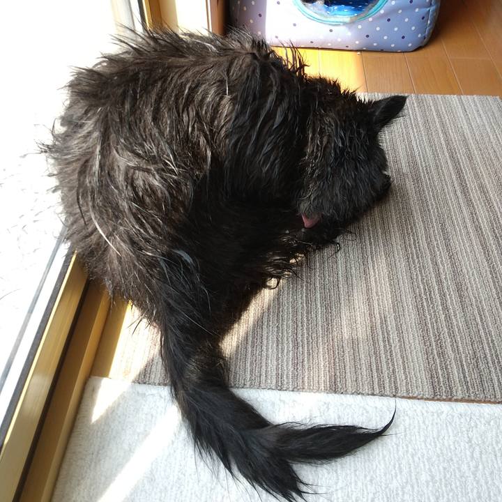 36090879 4ebd 4eab a359 30ea572a573b 1596589613436