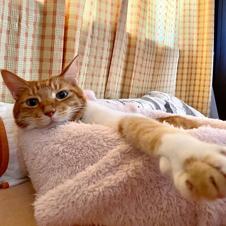 36095aea e2a8 4769 a607 c192dd0463a4 1698547643520