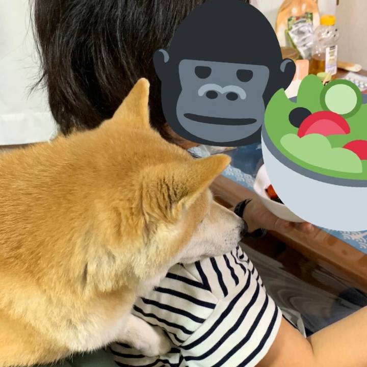 36095d00 9264 4ddc 94d6 fb0997484e3b 1601719429738