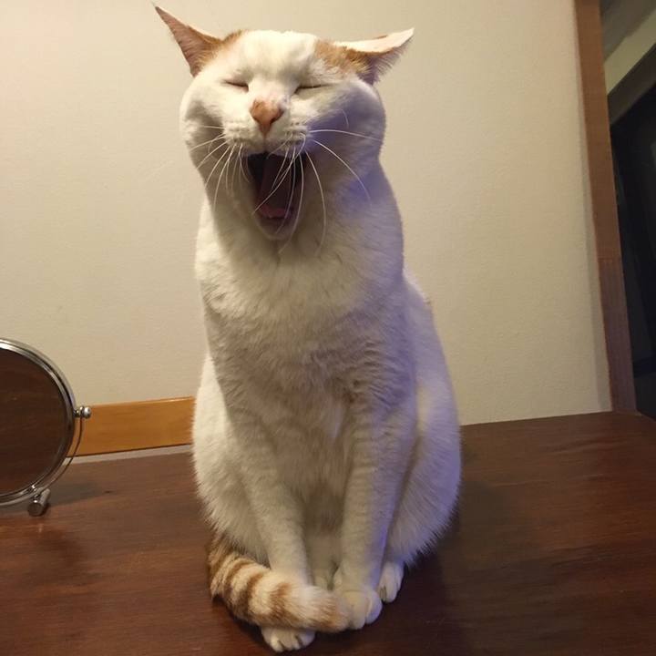 36096c08 4d8f 47f9 bd15 f1c00b036e78 1545176746884