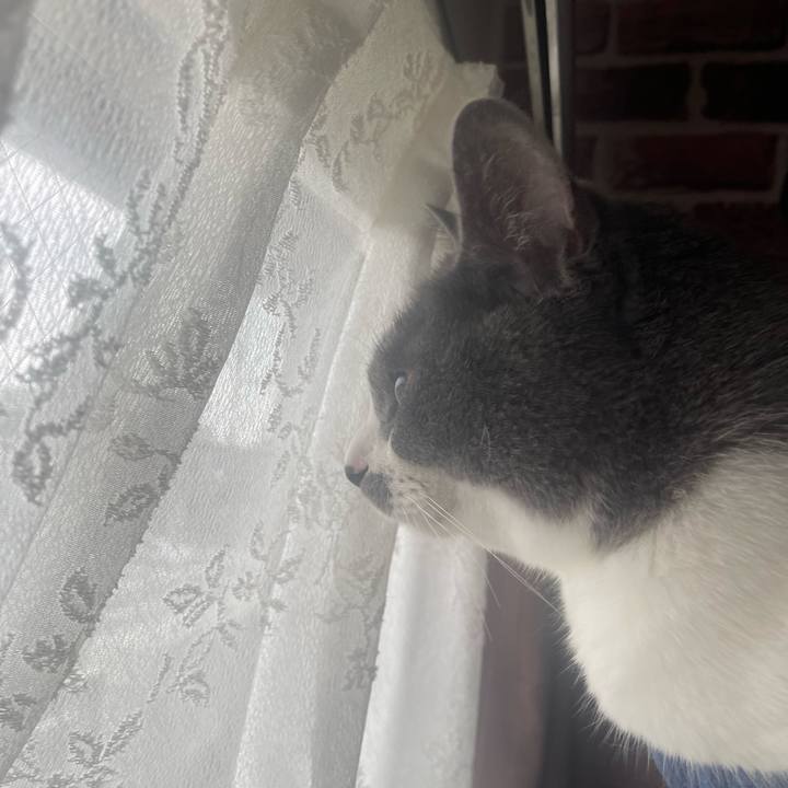 36097c05 c96f 41b0 89a6 4da5fa500853 1687220921448