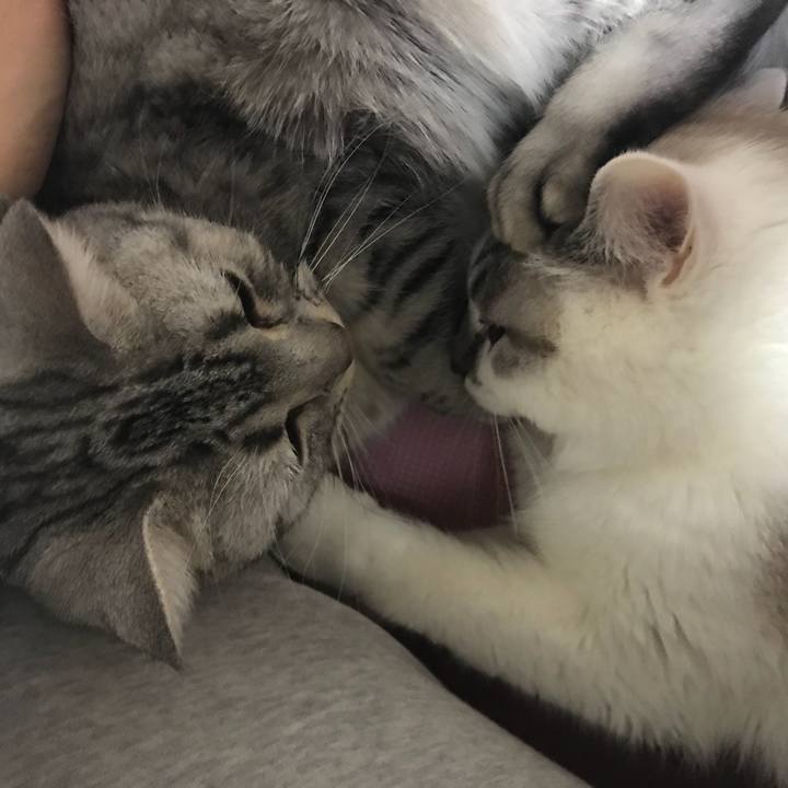 36099bdf d417 4916 b15e bbeadcfefb0e 1513204921091