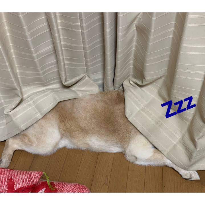 36099feb c758 4015 9734 07b07d5b9cb8 1651667727824