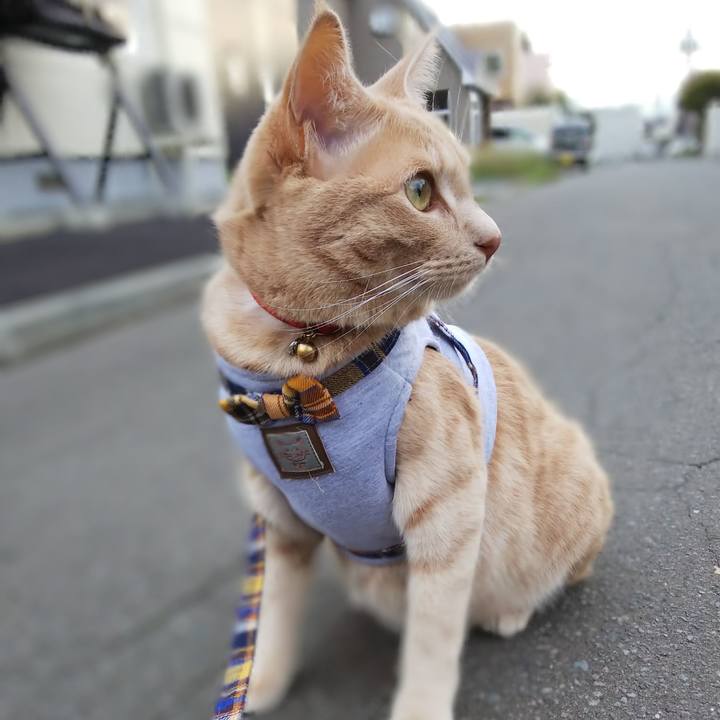 3609a23d 4203 43fe a706 fdd6ee7080fe 1569742344782