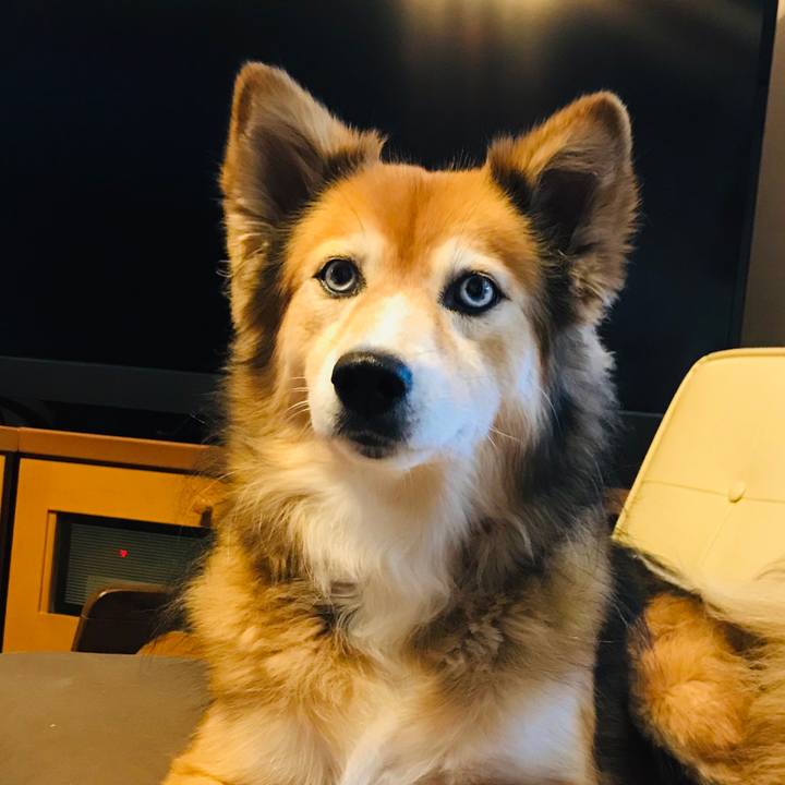 3609a4bc 5e63 432e a3b6 554d1cb64e5c 1597590013692