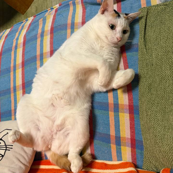 3609a742 c4e6 4b1b 8cc3 5b83be732238 1768048248071