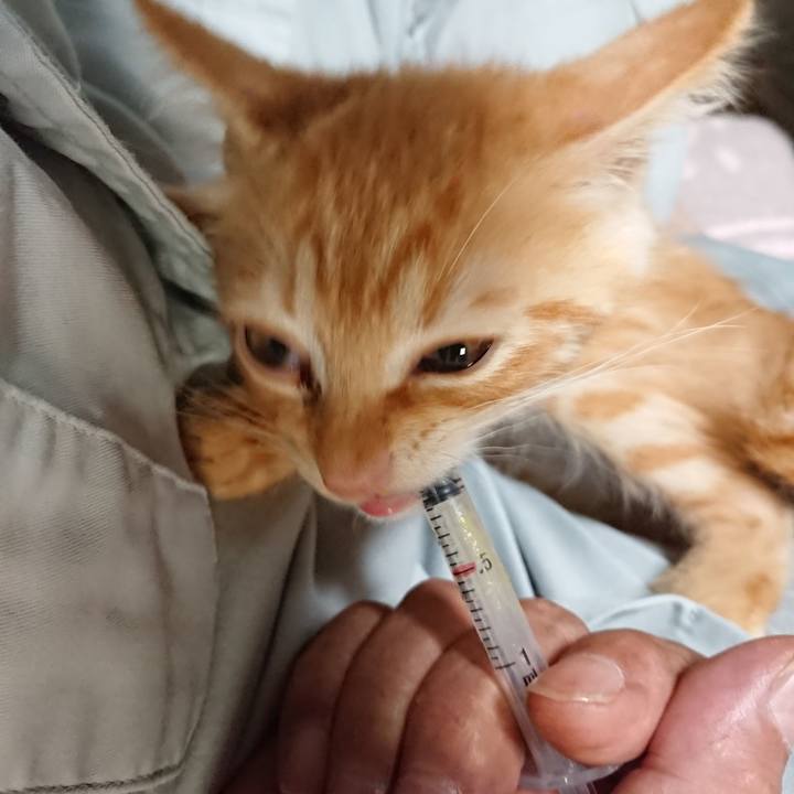 3609b6d8 1ffc 4598 a342 987d8ebb5497 1629285283534