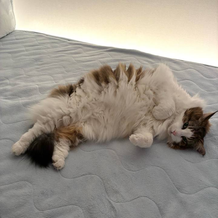 3609bd2d da27 4e3a 94c0 f3eb70217bf3 1767843832585