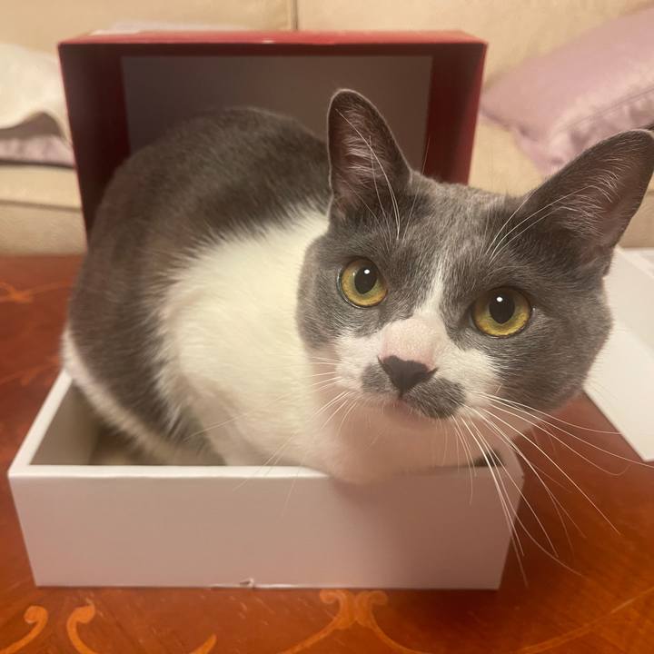 3609c438 0d81 42ac 88b8 4cb7c79faa30 1627820059551