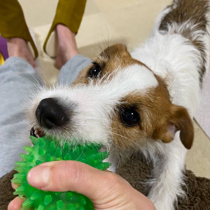 3609d108 67fb 437c 85a6 20f077339085 1669297714853