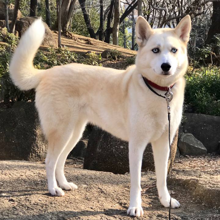 3609ea59 f166 40cd b439 e9181ceaec10 1519086848779