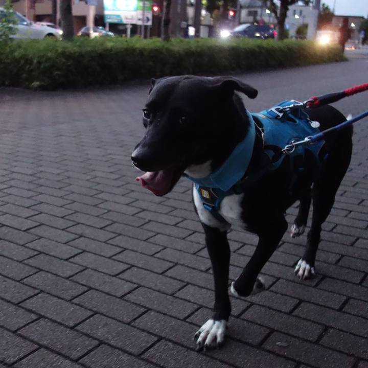 360a1ab8 94a5 443a 9c23 346be6e2af43 1627642075214