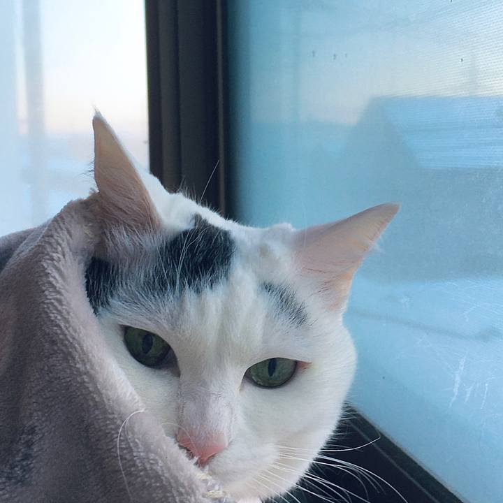 360a1e9d bd51 49ed a6e3 aa5d5ce086ea 1610264591221