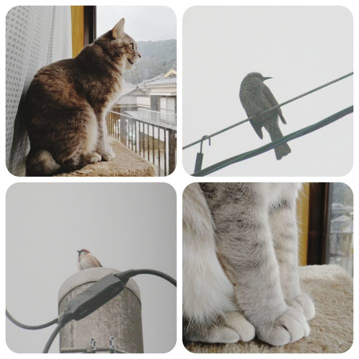 360a4df3 ccd4 40b7 8e28 bdeddd913a1b 1518658826150