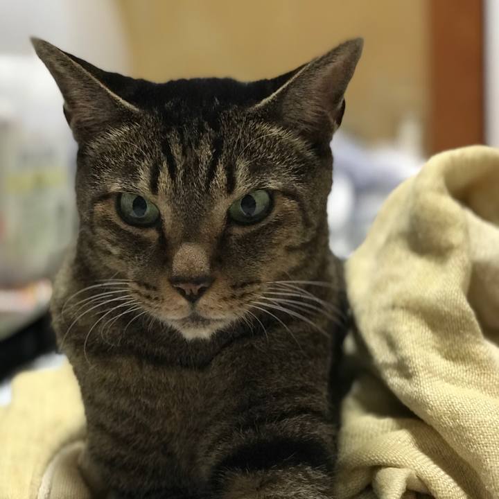 360a86de 0e13 4fdc bdb1 f048f094b176 1533862185201