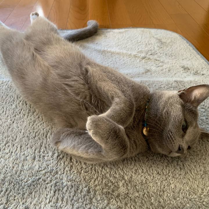 360a97aa 2512 44cb ac42 6bd27363875f 1632185881634