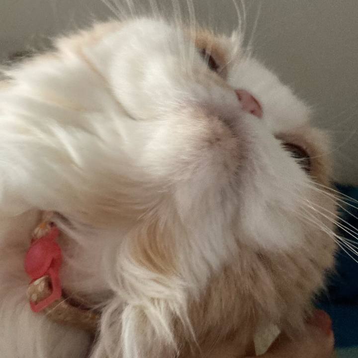 360aa2c8 2a53 4c9f a9ad 86cdf9f5c279 1674826989849