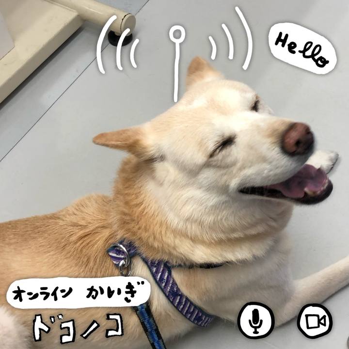 360ab890 008a 4e1b 9e80 401857d2f305 1590706827877