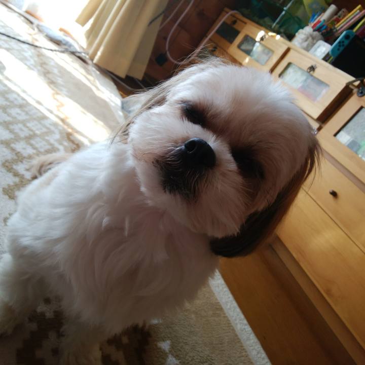 360b0ca4 53c0 4119 9cf4 766d88f8dd8b 1519087104989