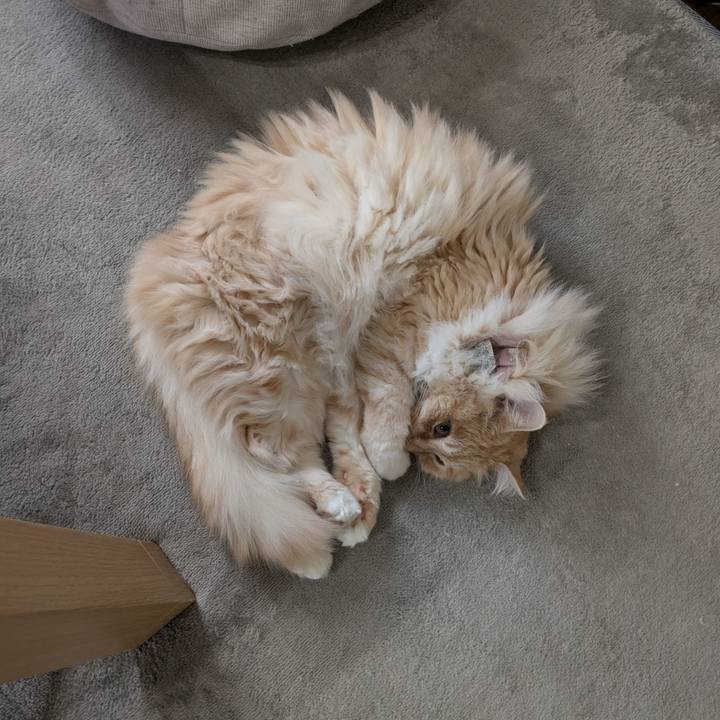 360b191d 19e1 415d a246 4ef19dc5a916 1745386383016