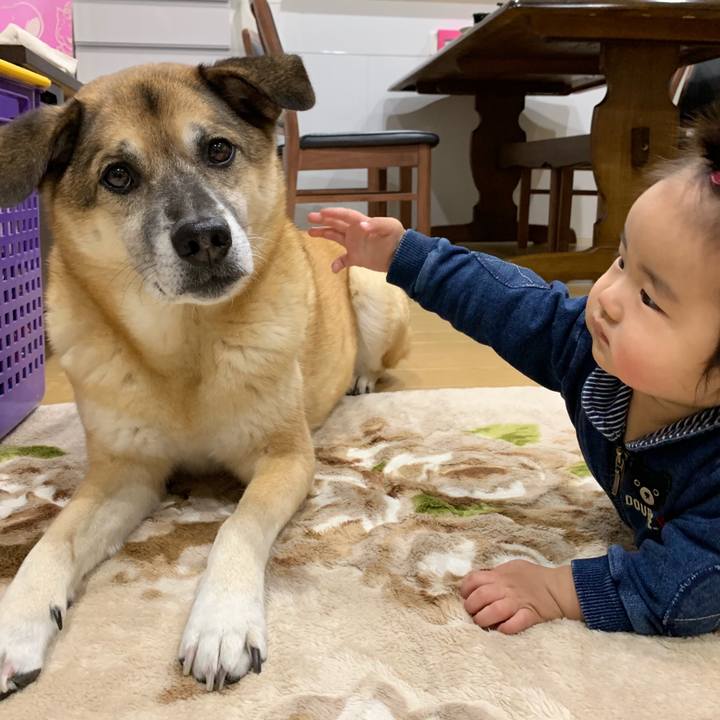 360b34a0 6636 4c82 be49 7bfc3411b9b9 1544263467971